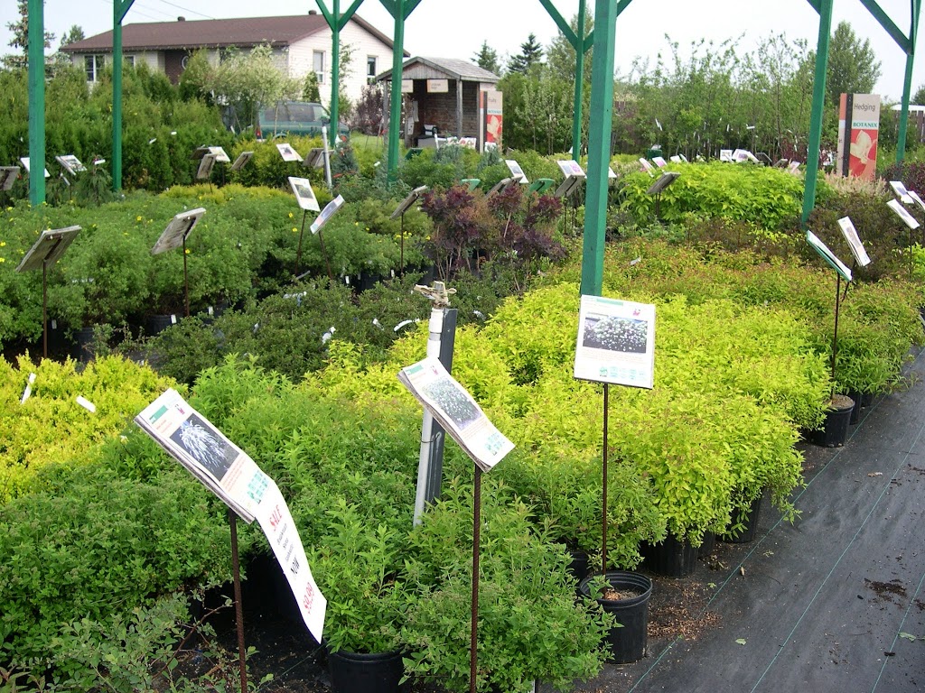 Azilda Greenhouses | 300 Carriere St, Azilda, ON P0M 1B0, Canada | Phone: (705) 983-5252