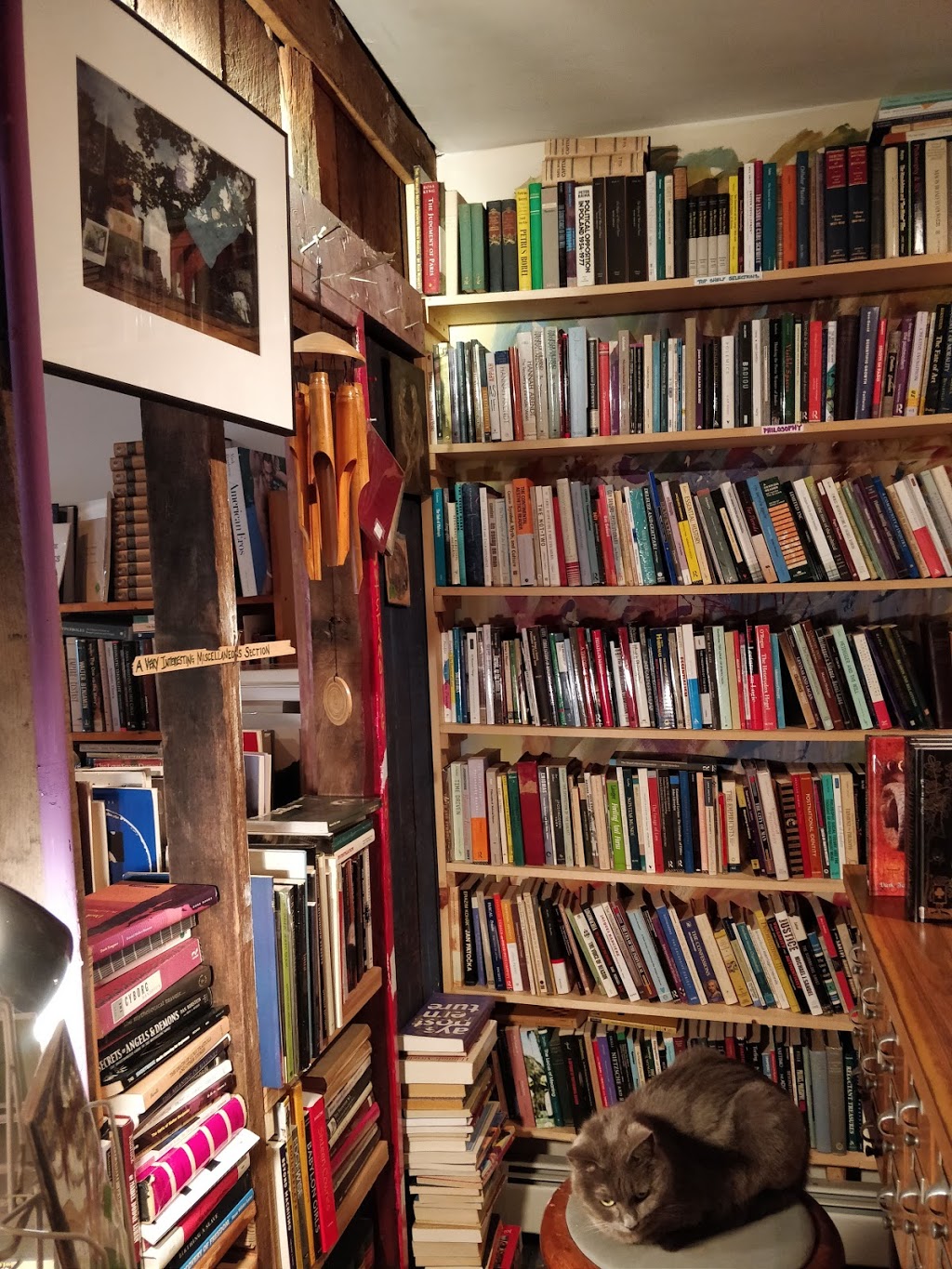 Rust Belt Books | 415 Grant St, Buffalo, NY 14213, USA | Phone: (716) 885-9535