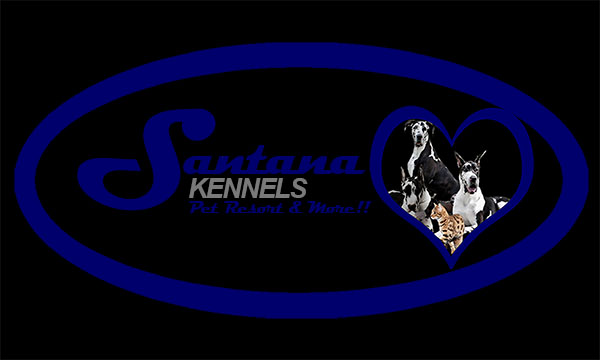 Santana Kennels | Box 66015, Unicity P.O., Winnipeg, MB R3K 2E7, Canada | Phone: (204) 633-6000