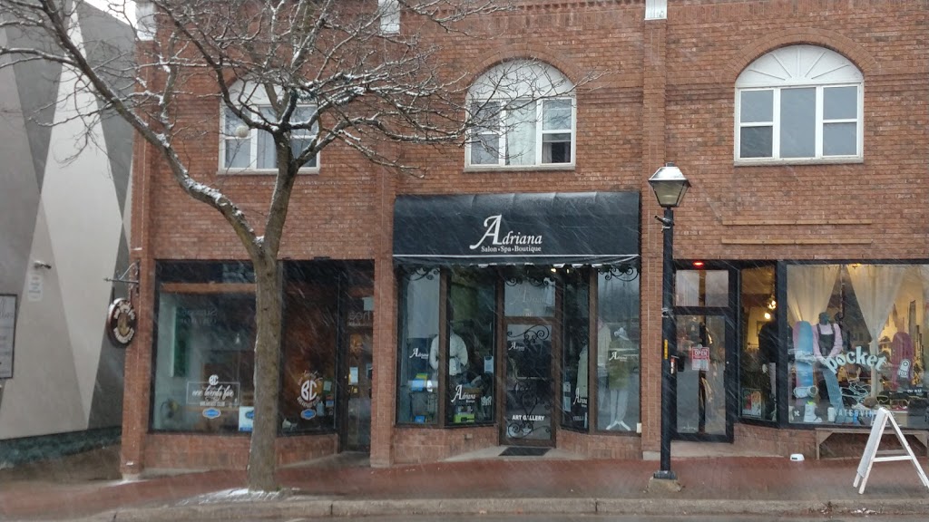 Adriana Salon Spa Boutique | 123 Mississaga St E, Orillia, ON L3V 1V6, Canada | Phone: (705) 327-0177