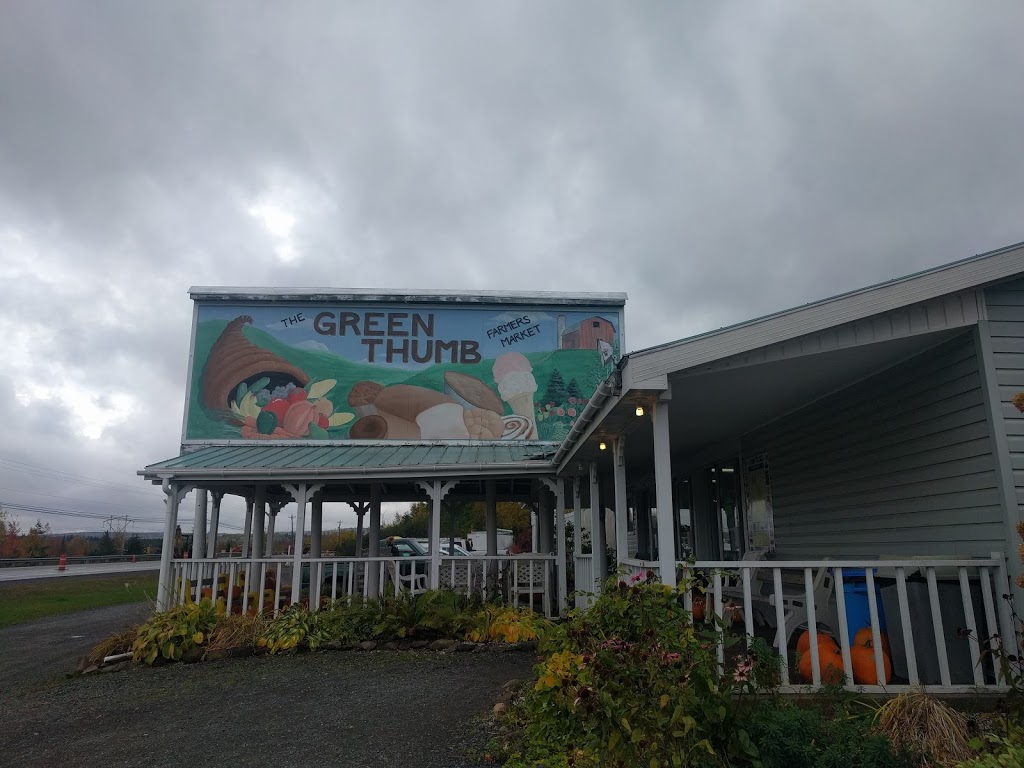 Green Thumb Farmers Market | 4681 NS-4, Westville, NS B0K 2A0, Canada | Phone: (902) 396-3263