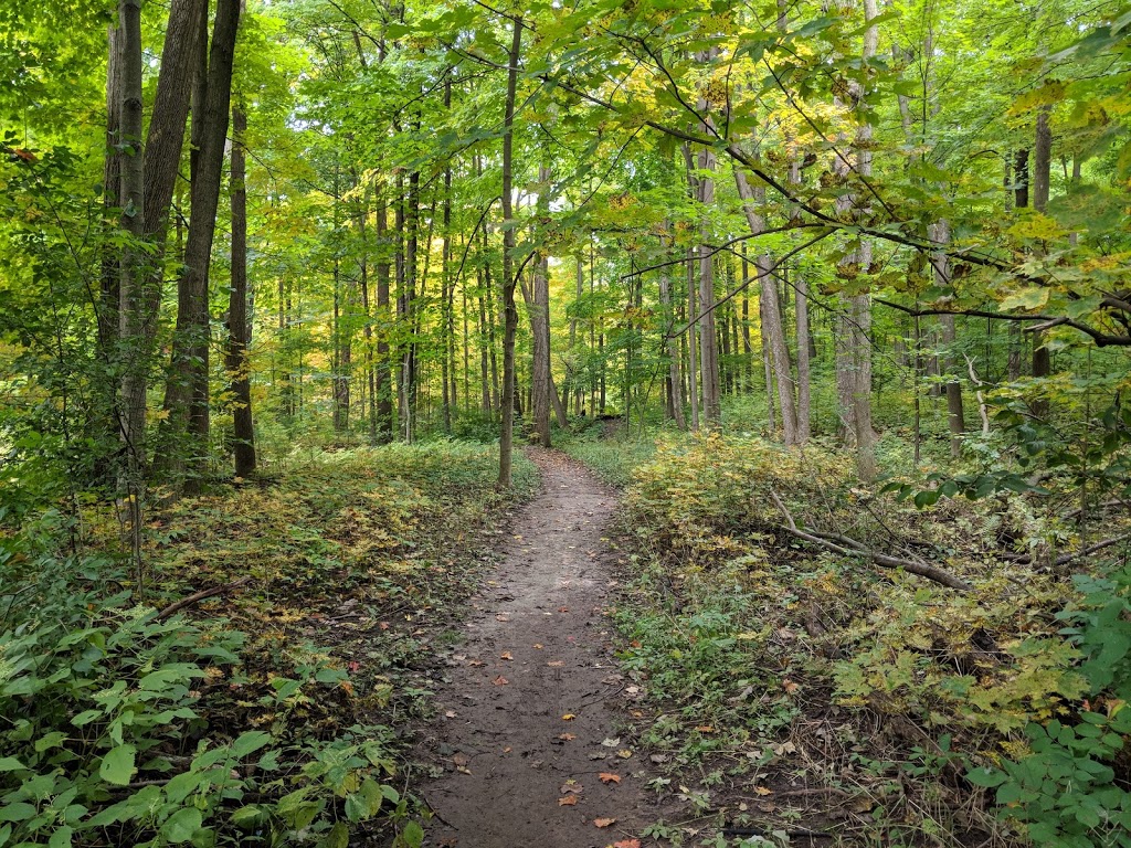 Scotts Brae Park | Meadowvale Village, Mississauga, ON L5W 1T2, Canada