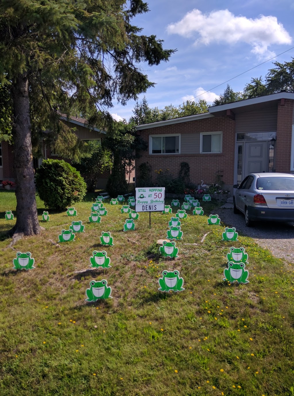 Lawn Novelties 1353 Gemmell St, Sudbury, ON P3A 1G3, Canada