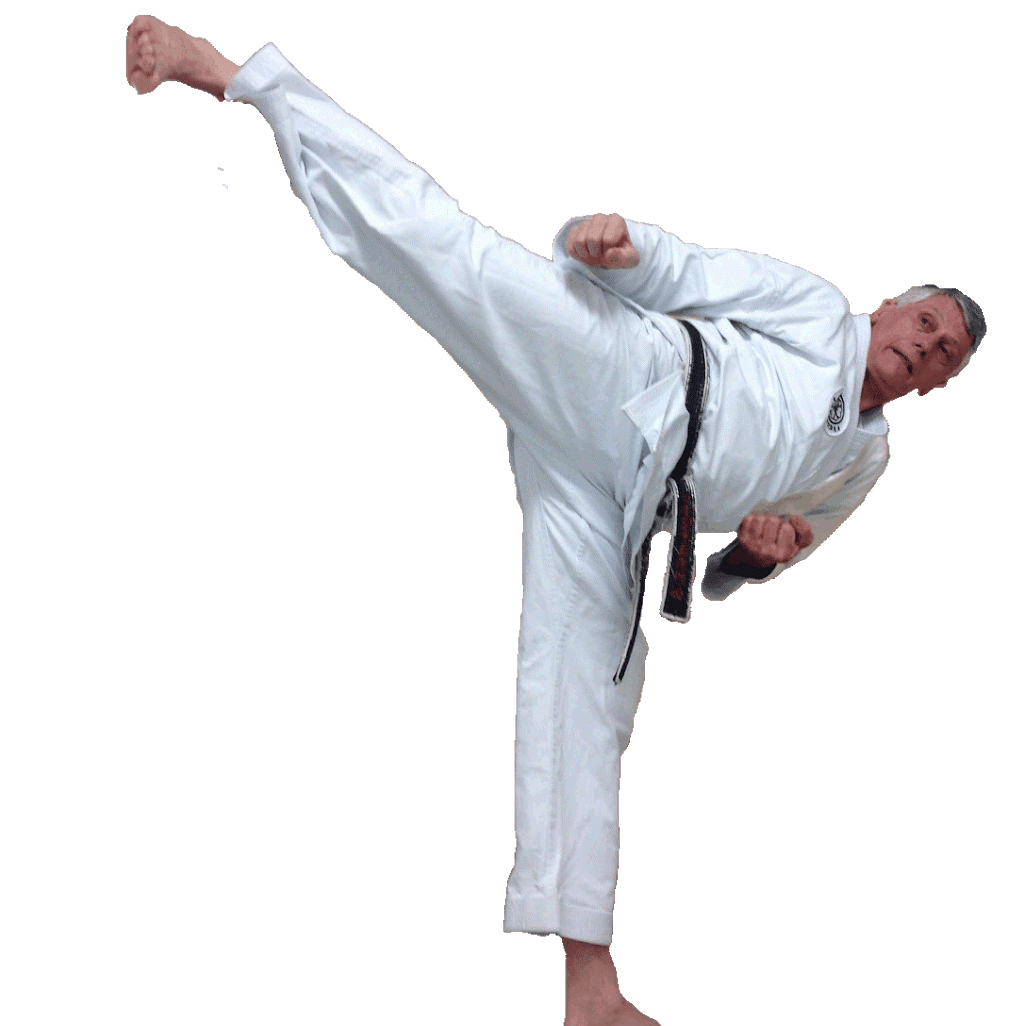 Terwillegar Genbukai Karate | 2051 Leger Rd NW, Edmonton, AB T6R 0R8, Canada | Phone: (780) 722-7960