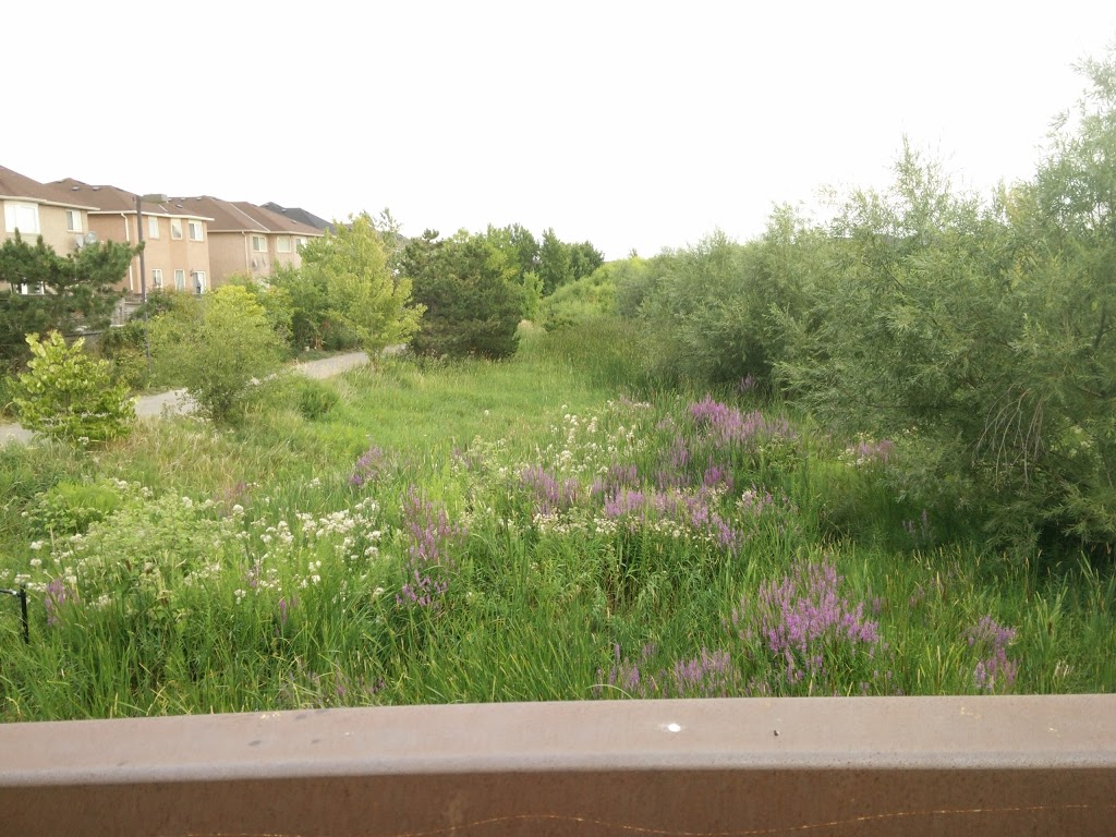 Stonewood Park | 7M4, 7348 Sandhurst Dr, Mississauga, ON L5N 7M4, Canada | Phone: (905) 615-4311