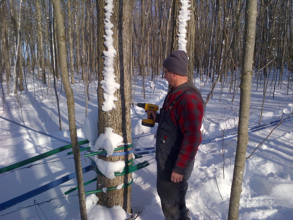 Drudges Maple Syrup | Amberley Rd, Huron East, ON N0G 1G0, Canada | Phone: (519) 335-6352