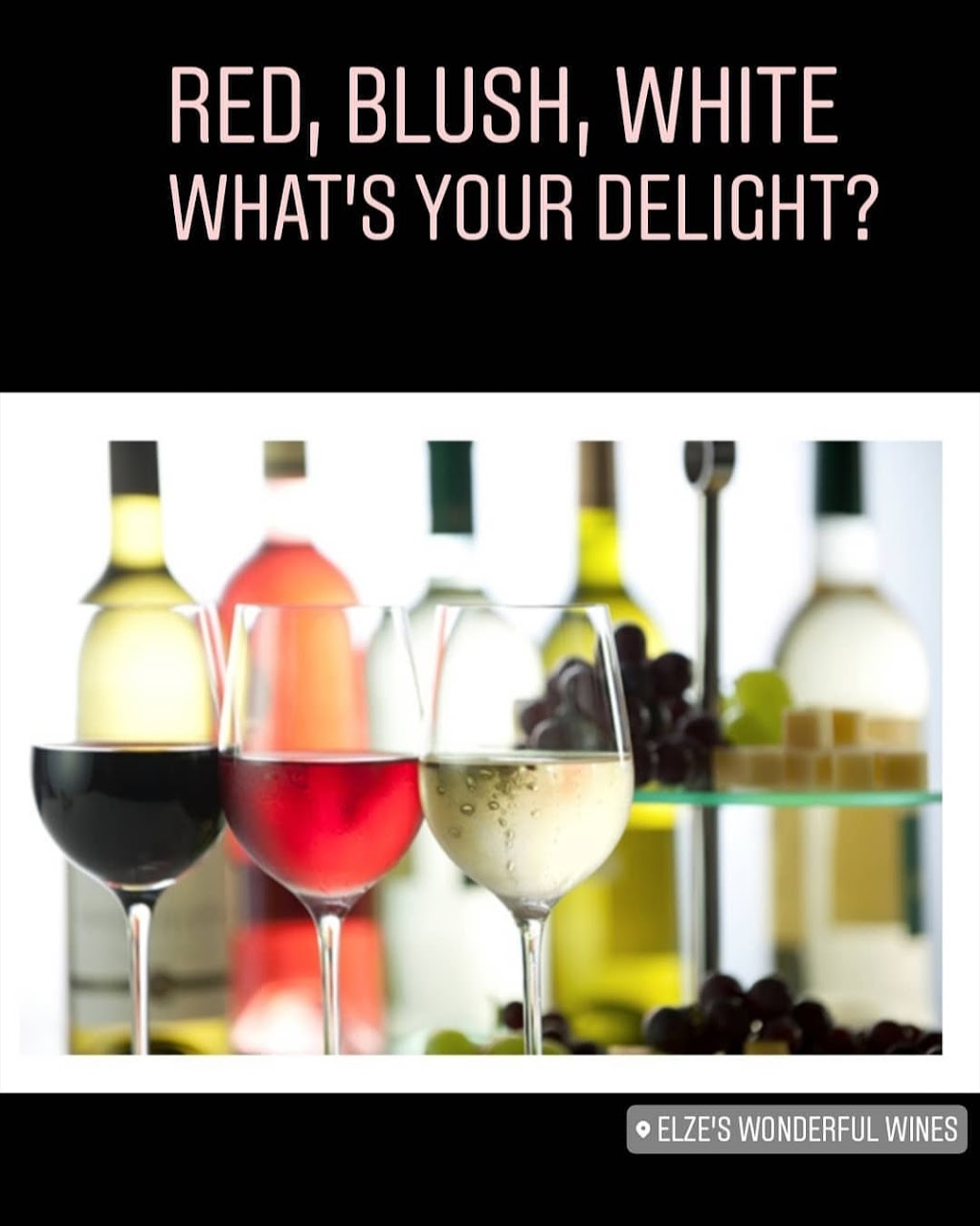 Elzes Wonderful Wines | 29 Church St W, Elmira, ON N3B 1M2, Canada | Phone: (226) 789-2338