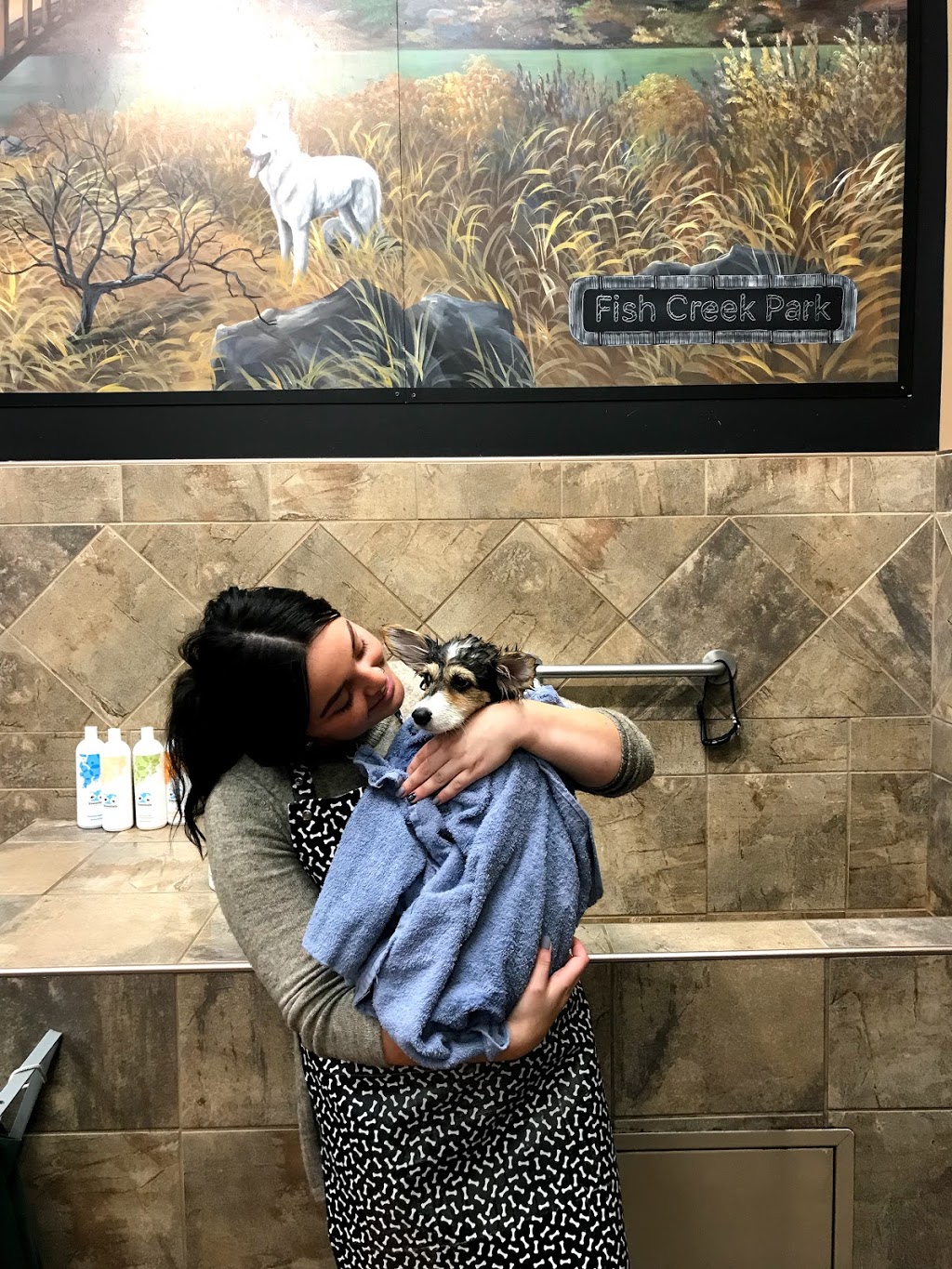 Pet Valu | 1221 Canyon Meadows Dr SE, Calgary, AB T2J 6G2, Canada | Phone: (403) 723-1033