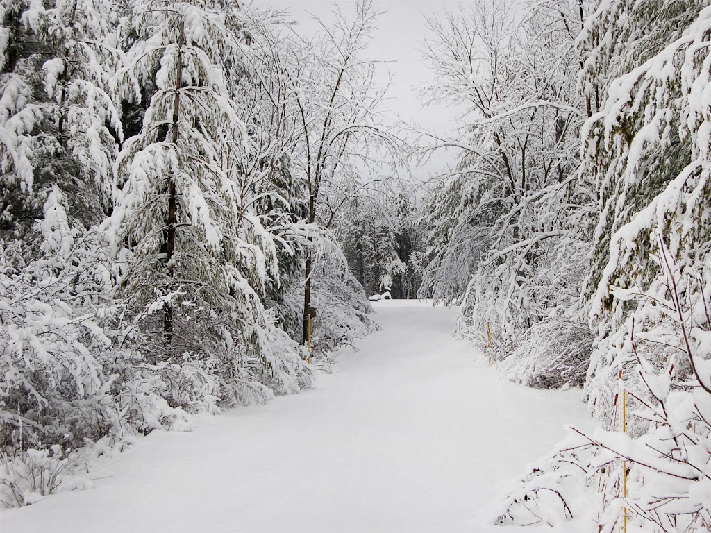 Cataraqui Region Conservation Authority | 1641 Perth Rd, Kingston, ON K0H 1S0, Canada | Phone: (613) 546-4228