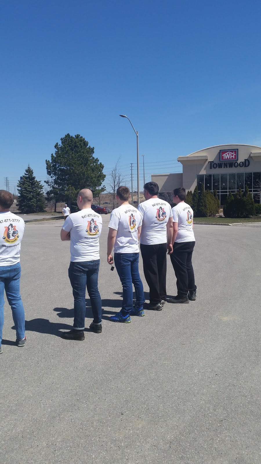 Zebra Movers Newmarket | 98 Jordanray Blvd, Newmarket, ON L3X 2P8, Canada | Phone: (905) 657-9207