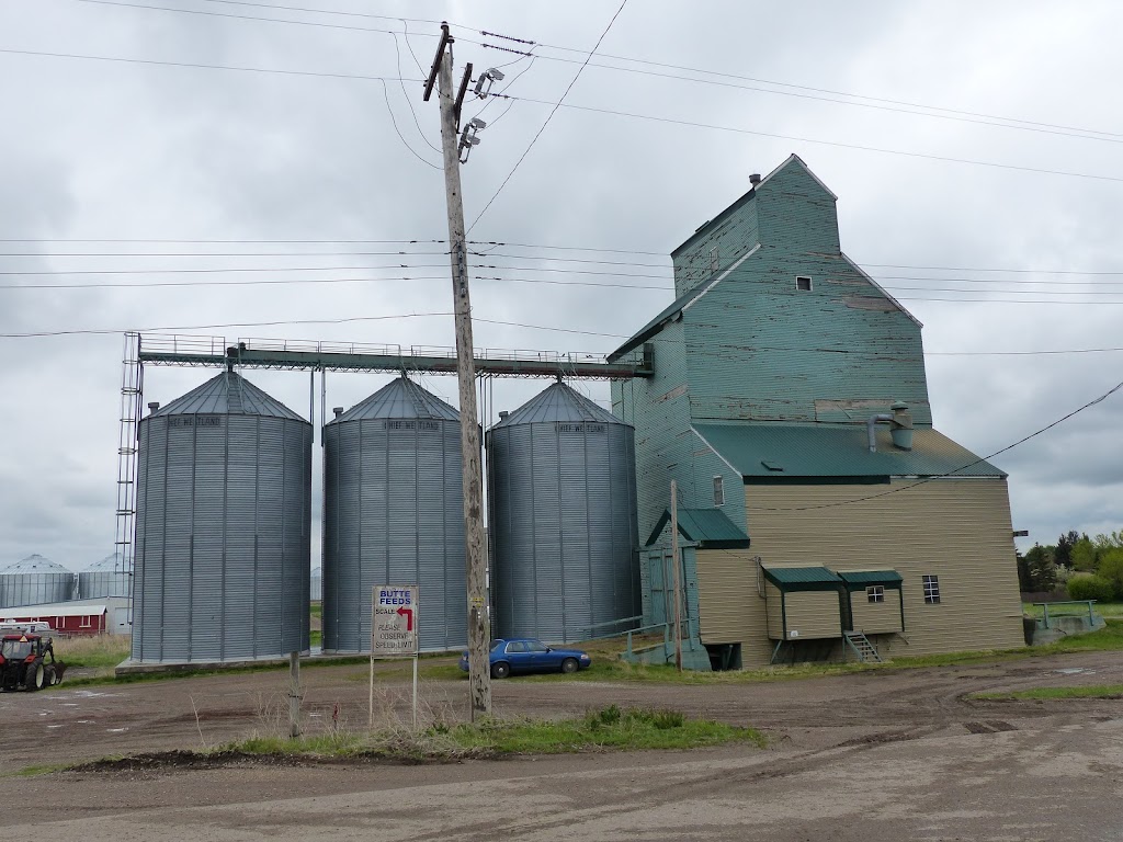 Masterfeeds | 111 Jamieson Ave, Picture Butte, AB T0K 1V0, Canada | Phone: (403) 732-5633