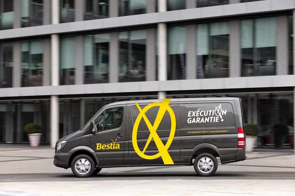 Bestia extermination | 1295 Rue de Repentigny, Québec, QC G1S 1Y2, Canada | Phone: (418) 800-8103