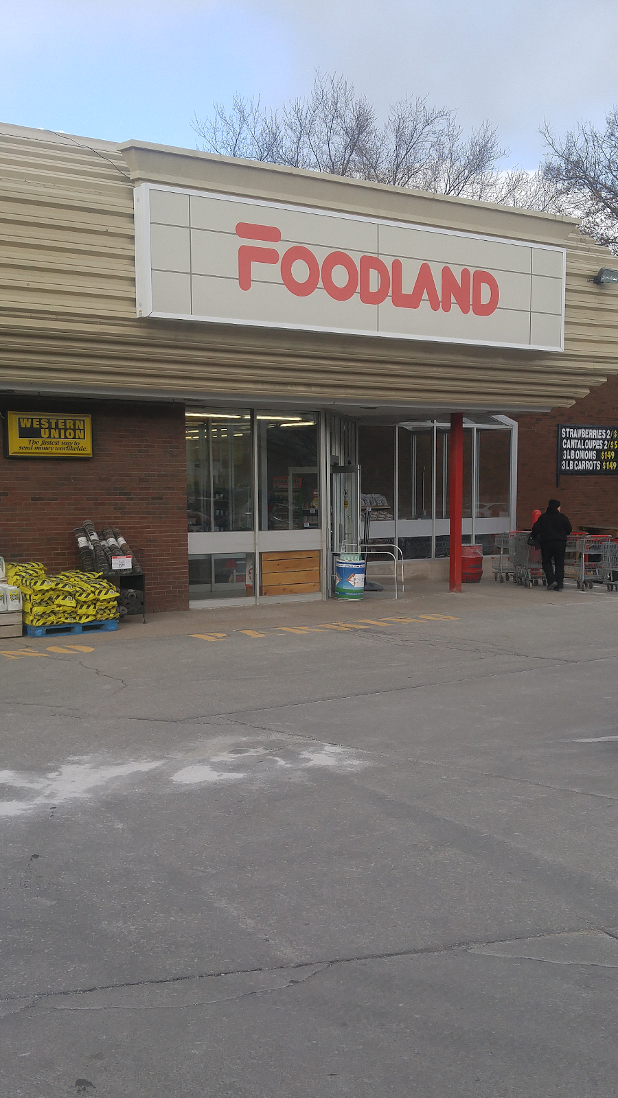 Foodland - Vineland | 3357 King St, Vineland, ON L0R 2C0, Canada | Phone: (905) 562-5881