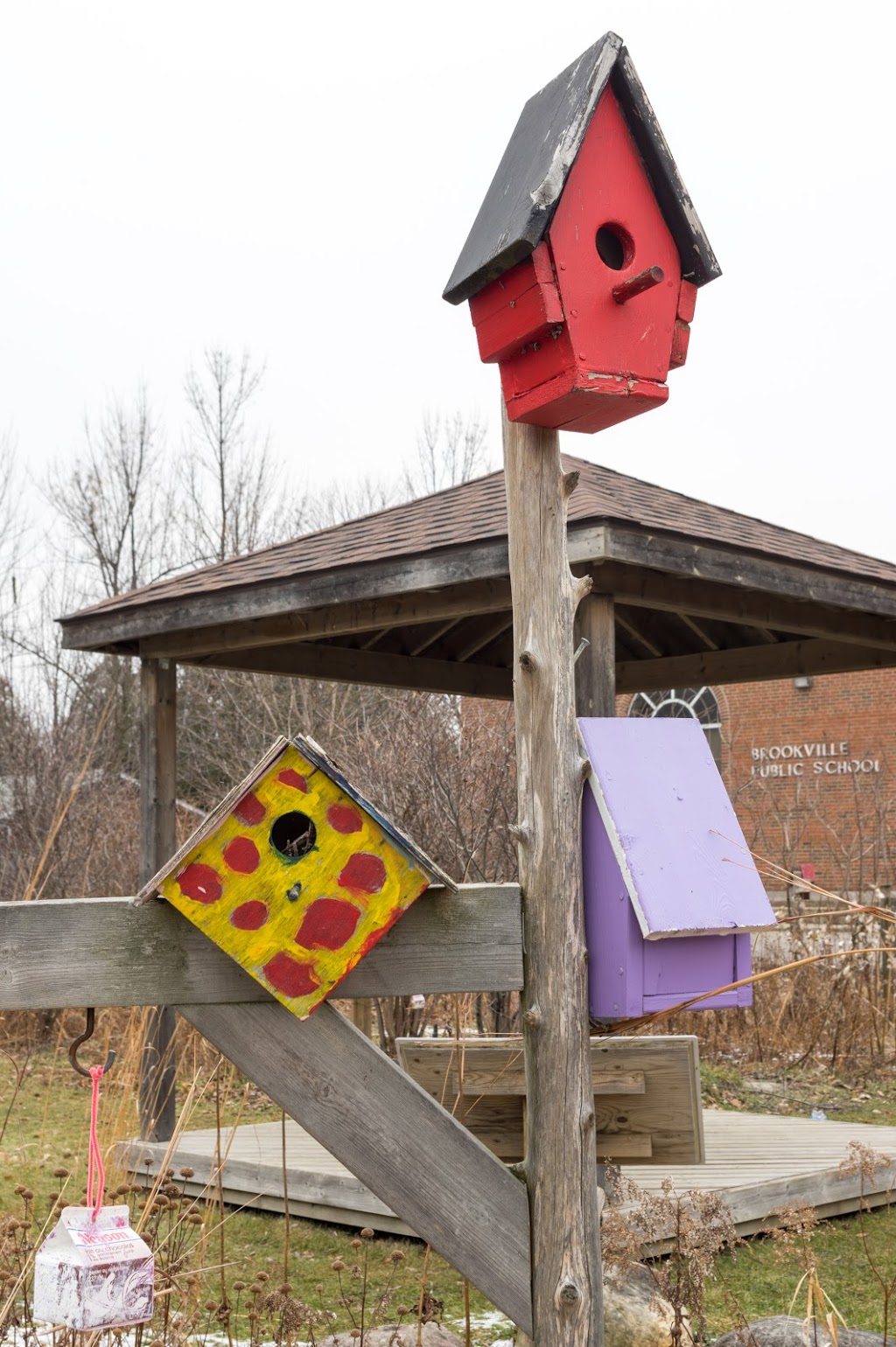 Brookville Public School | 11325 Guelph Line, Campbellville, ON L0P 1B0, Canada | Phone: (905) 854-2424