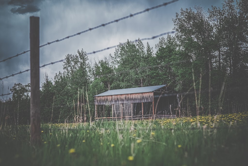 Kahou Farm | Township Rd 295A, Alberta T0M 2E0, Canada | Phone: (587) 891-3276