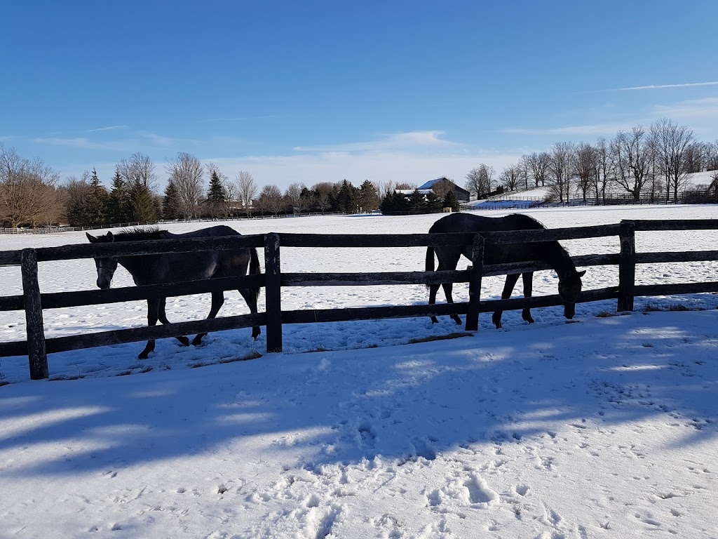 Park Stud | 893112 6th Line Ehs, Mono, ON L9W 6B9, Canada | Phone: (519) 941-3944