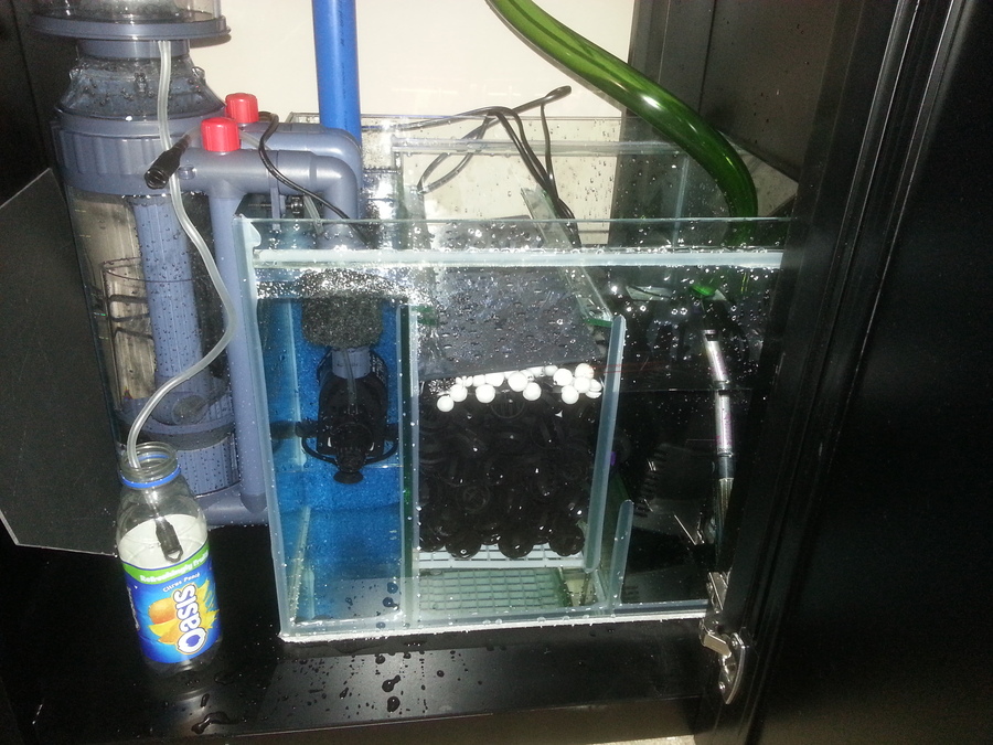 Gold Aquariums | 4710 17 Ave SE J, Calgary, AB T2A 0V1, Canada | Phone: (403) 273-5567
