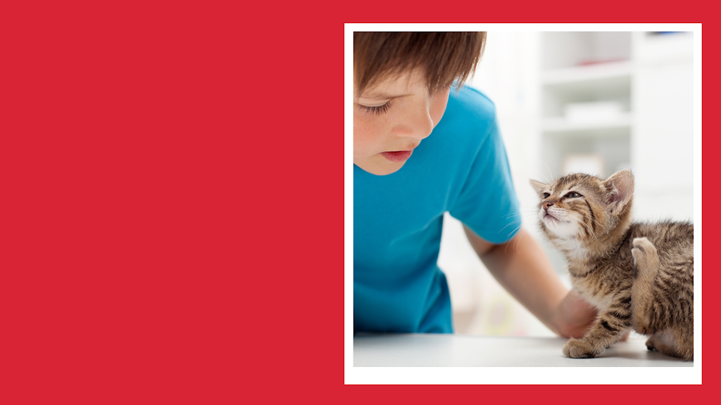 Westland Veterinary Hospital | 3871 17 Ave SW, Calgary, AB T3E 0C3, Canada | Phone: (403) 246-2244