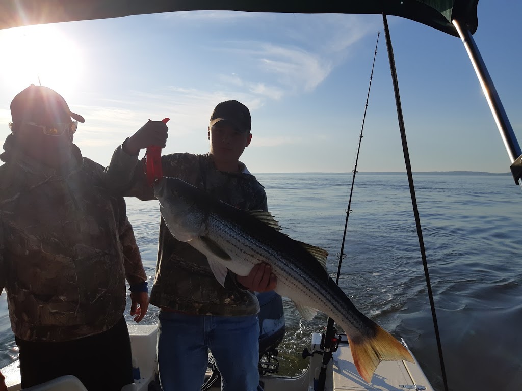 Bass Barn Fishing Charters & Tours | 17 Ohearns Ln, Lower Five Islands, NS B0M 1N0, Canada | Phone: (902) 669-0872