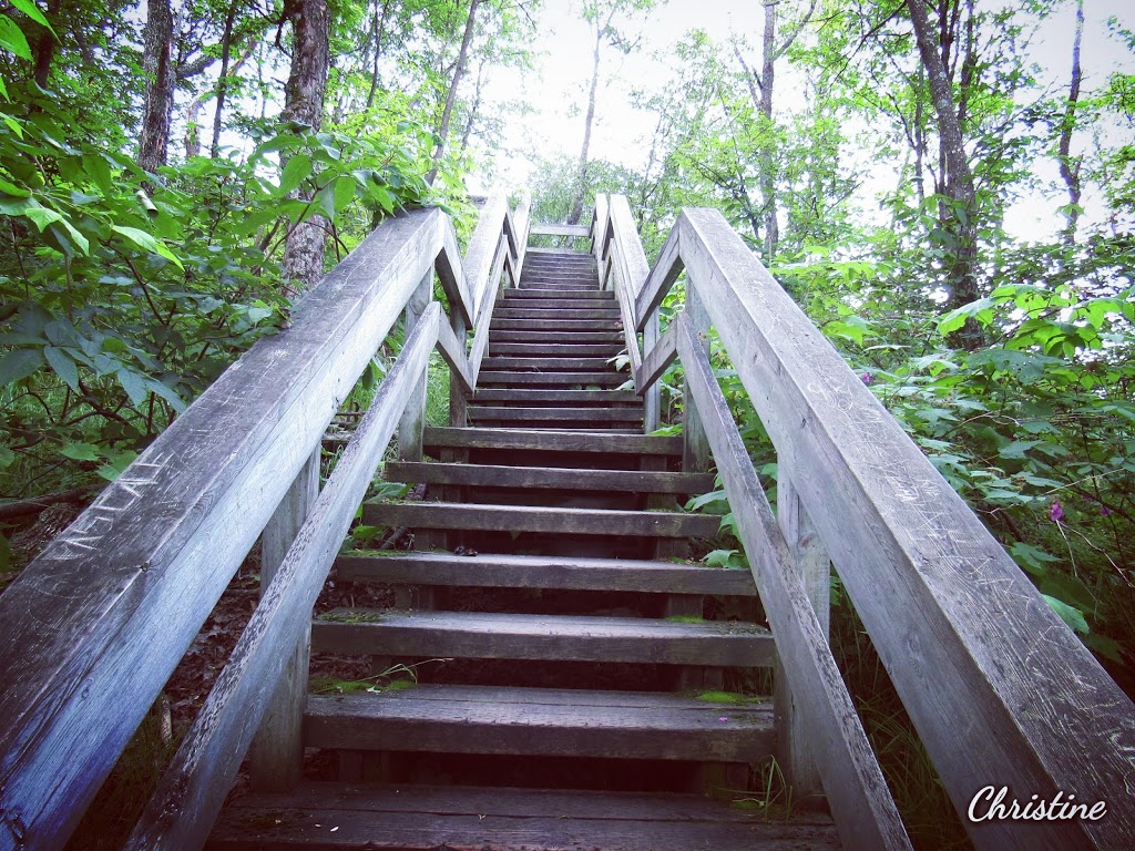 Champlain Trail | Promenade Champlain, Luskville, QC J0X 2G0, Canada | Phone: (613) 239-5000