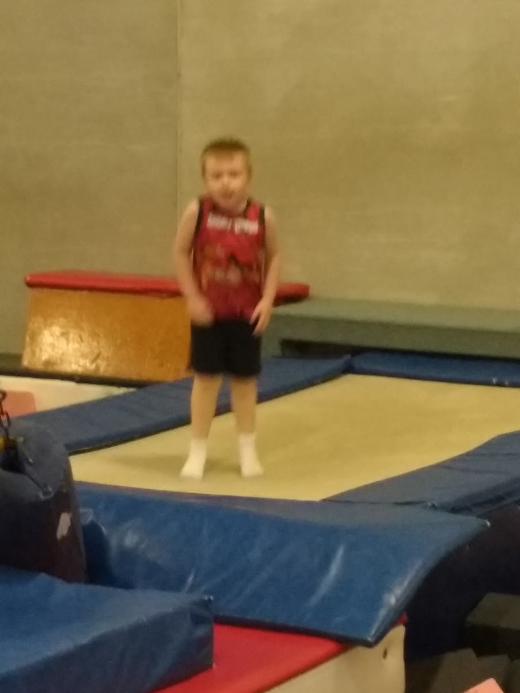 Gymnastic Giants | 175 Sun Pac Blvd, Brampton, ON L6S 5Z6, Canada | Phone: (905) 793-3648