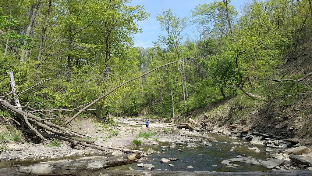Red Hill Trail - south parking lot | 169 Mud St, Hamilton, ON L8K, Canada