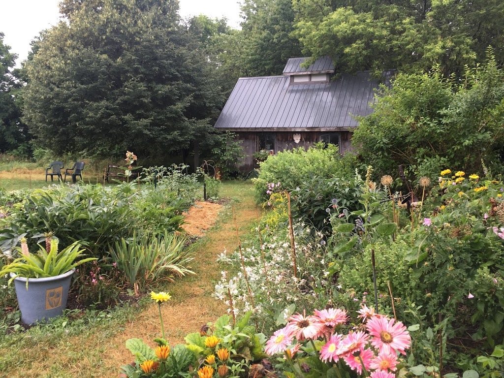 Mad Dog Gallery | 525 County Rd 11, Picton, ON K0K 2T0, Canada | Phone: (613) 476-7744