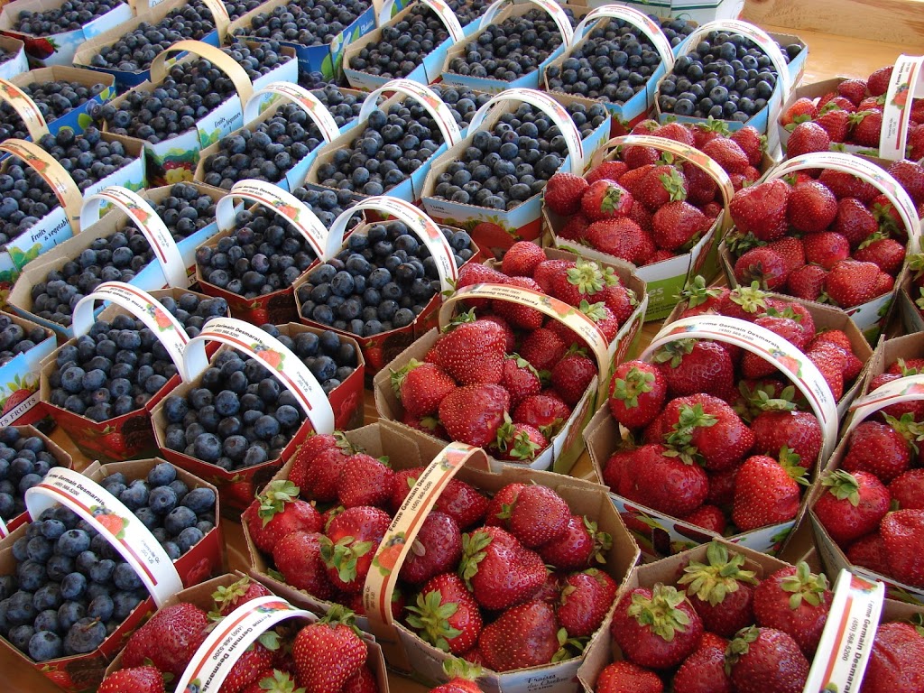 Bleuetière et fraisière, Ferme G. Desmarais | 190 Rang du Chenal Tardif, Pierreville, QC J0G 1J0, Canada | Phone: (450) 568-5200