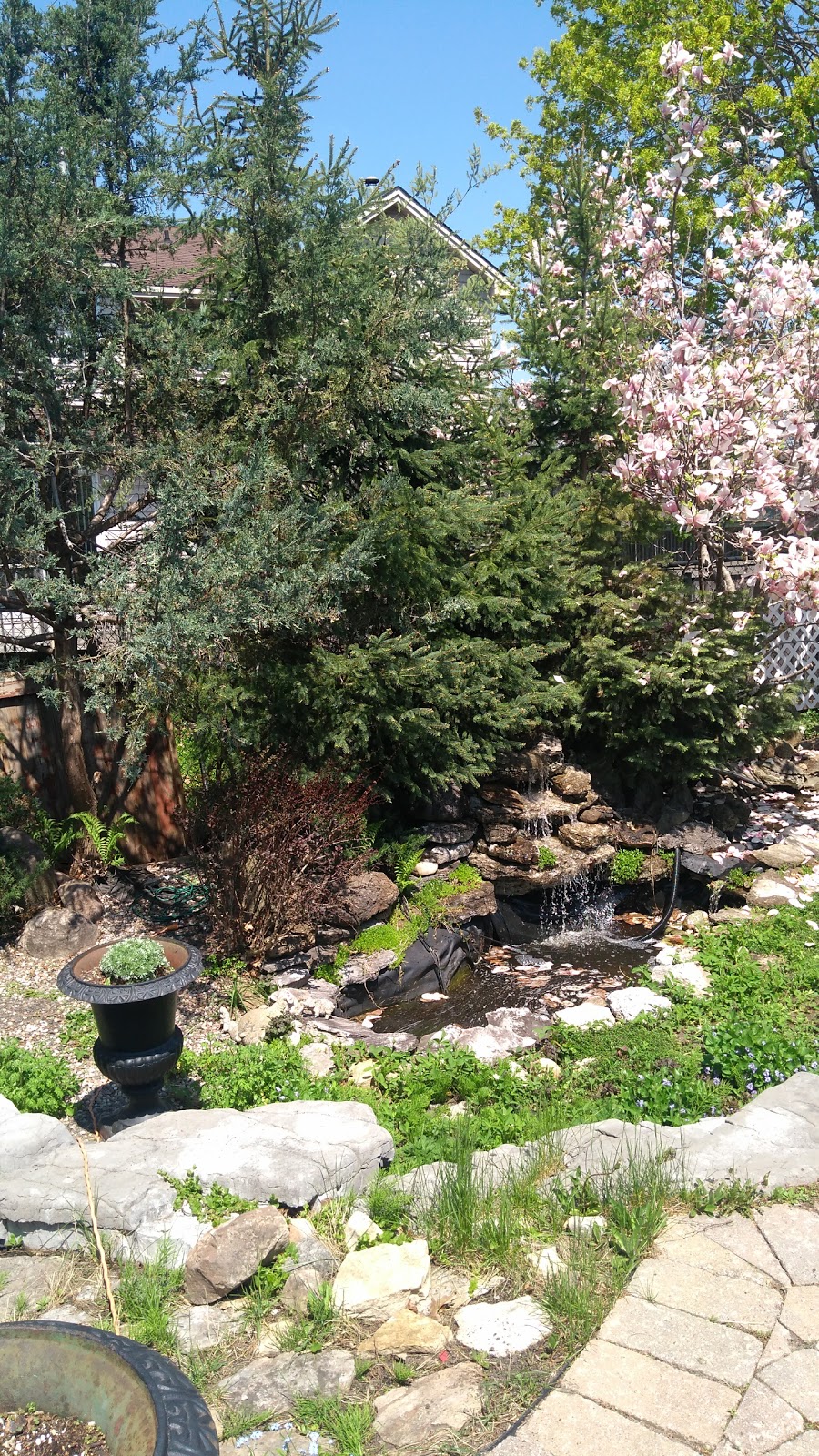 Deevy Pines Park | 65 Stonehaven Dr, Ottawa, ON K2K 1A1, Canada | Phone: (613) 580-2400