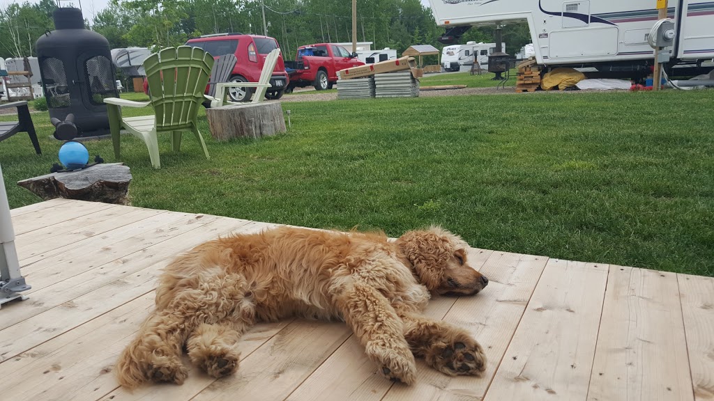 Camping Tropical | 430 ch Sault Rouge, Lyster, QC G0S 1V0, Canada | Phone: (819) 389-1225