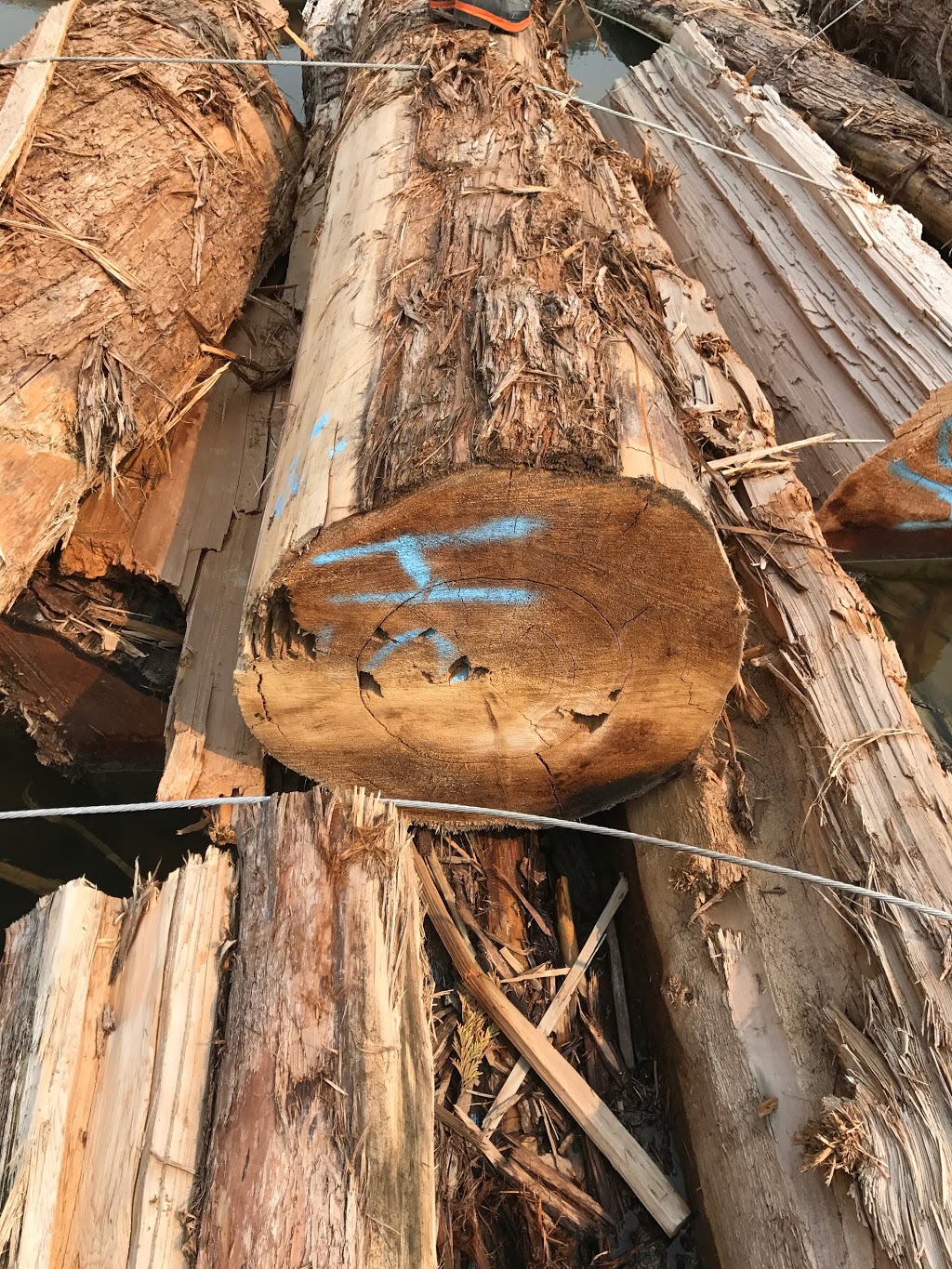 Platinum Cedar Sales | 3542 McKinley Dr, Abbotsford, BC V2S 8M6, Canada | Phone: (604) 615-2534
