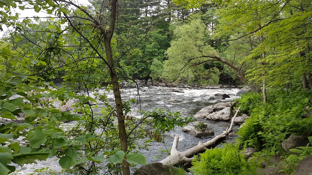 Parc De St-Jérome | 23-79 Rue Duvernay, Saint-Jérôme, QC J7Y 2Z6, Canada