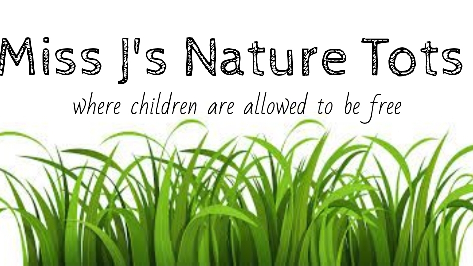 Miss Js Nature Tots | 6 Queen St W, Elmwood, ON N0G 1S0, Canada | Phone: (226) 433-2021