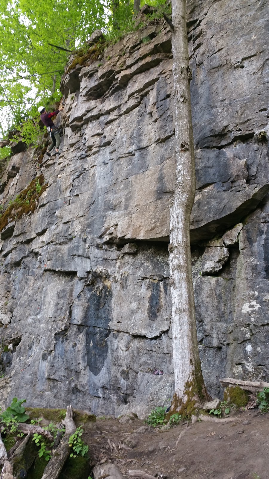 The Turtle Climbing Crag | Burlington, ON L7M 0T7, Canada | Phone: (905) 336-1158