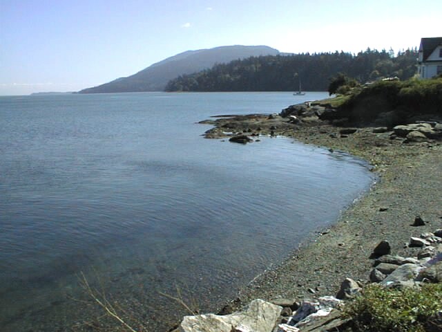 Lummi Island Realty LLC | 2211 N Nugent Rd, Lummi Island, WA 98262, USA | Phone: (360) 758-2094