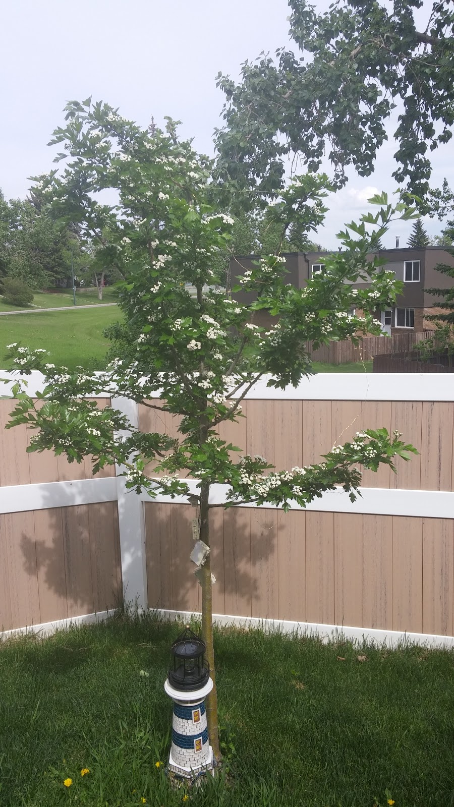 Glenbrook Park | 5012 39 Ave SW, Calgary, AB T3E 6M7, Canada