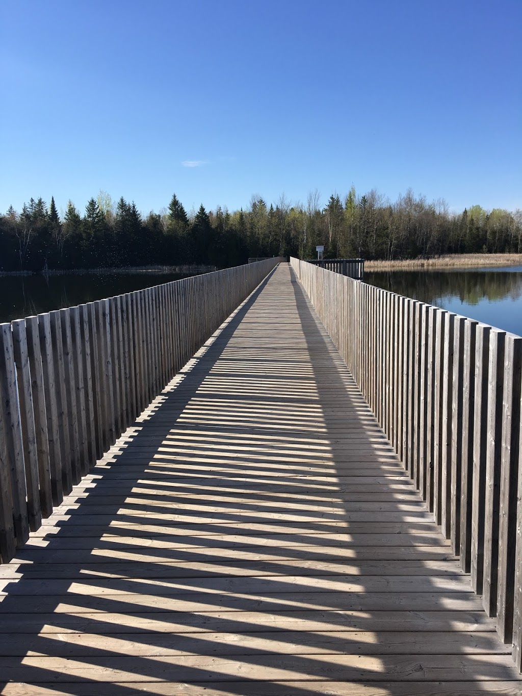 Forest Lawn Cemetery | Mono, ON L9W, Canada | Phone: (519) 941-0910