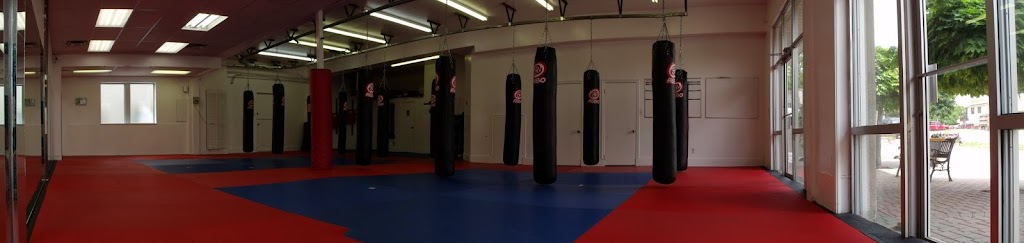 Browns Kickboxing & Jiu Jitsu | 10 Franklin St, Waterdown, ON L0R 2H0, Canada | Phone: (905) 690-8184