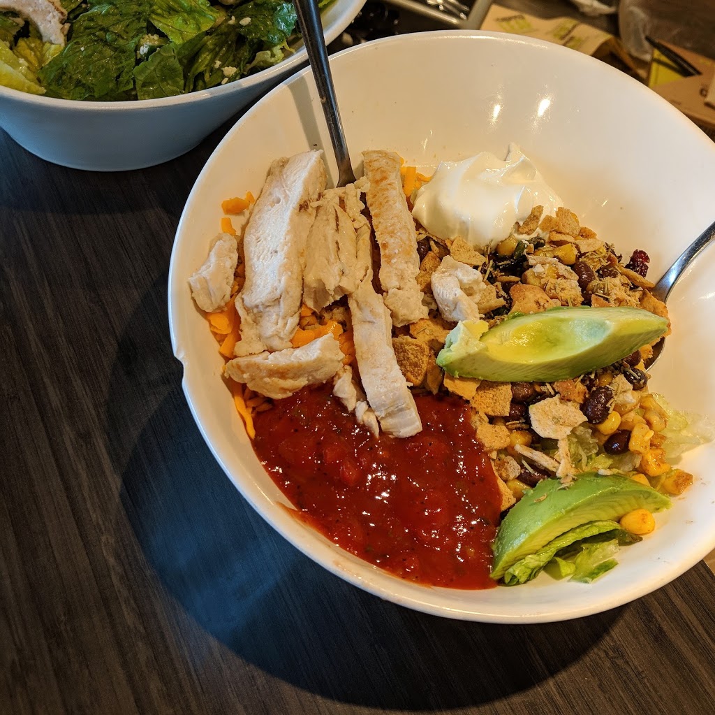 Chopped Leaf | 36 Northfield Dr E #10, Waterloo, ON N2L 6A1, Canada | Phone: (519) 772-0296