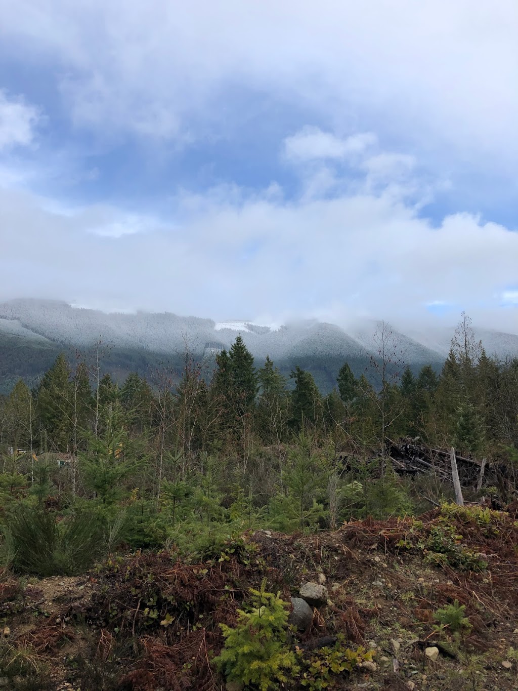 Trails Edge Lake Cowichan | Boundary Rd, Lake Cowichan, BC V0R 2G0, Canada | Phone: (250) 709-3838