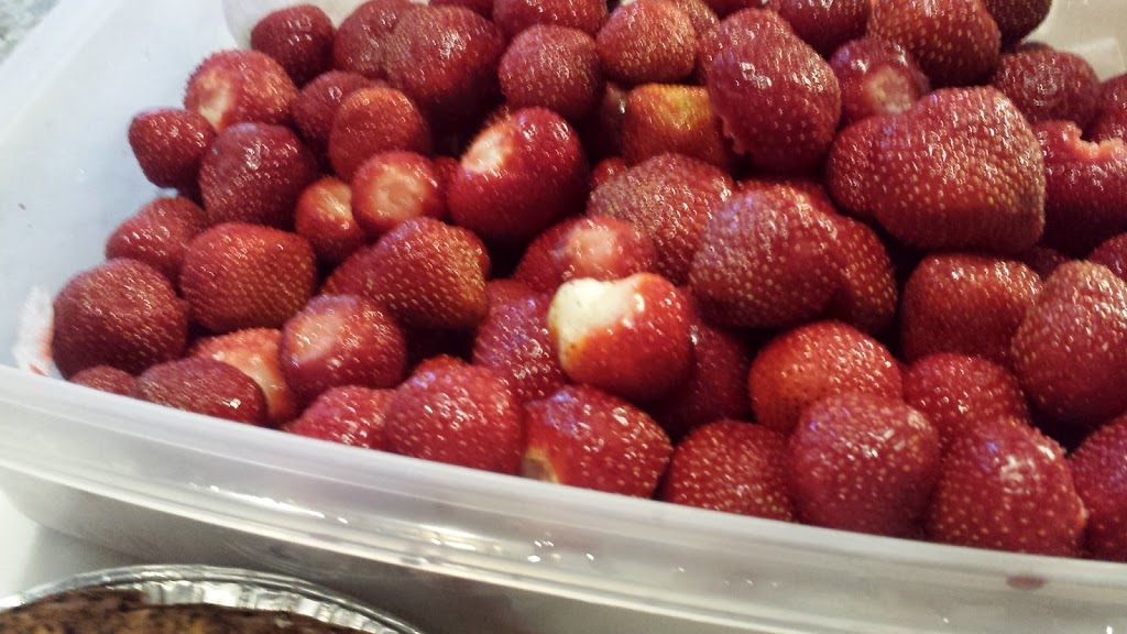 Butts Berry Farm | 5838 5th Line, Guelph/Eramosa, ON N0B 2K0, Canada | Phone: (519) 856-0270