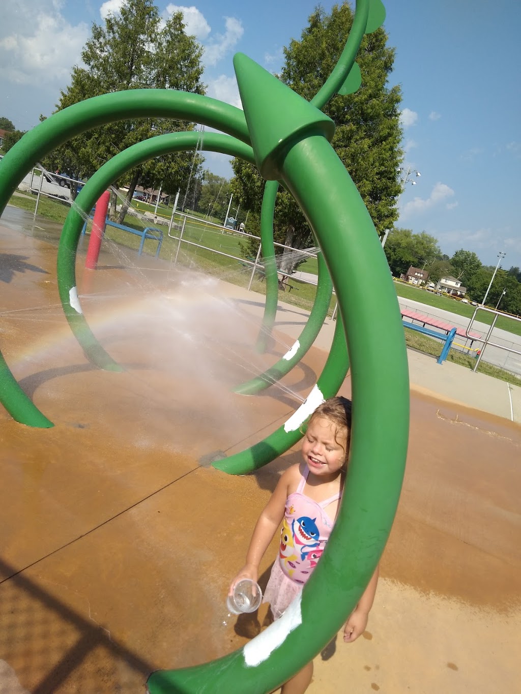 Delhi Kinsmen Pool | 336 Talbot Rd, Delhi, ON N4B 2A1, Canada | Phone: (519) 582-0421