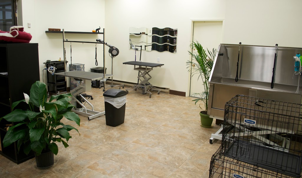 Le Coin Du Chien - Toilettage | 7250 Boulevard Taschereau, Brossard, QC J4W 1M9, Canada | Phone: (450) 486-7200