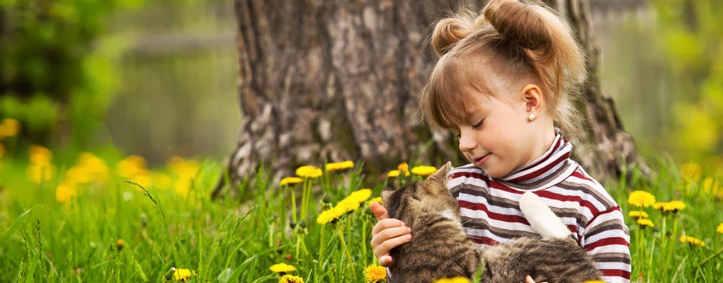 Markham Veterinary Clinic | 6605 Hwy 7 #13/14, Markham, ON L3P 7P1, Canada | Phone: (905) 294-0522