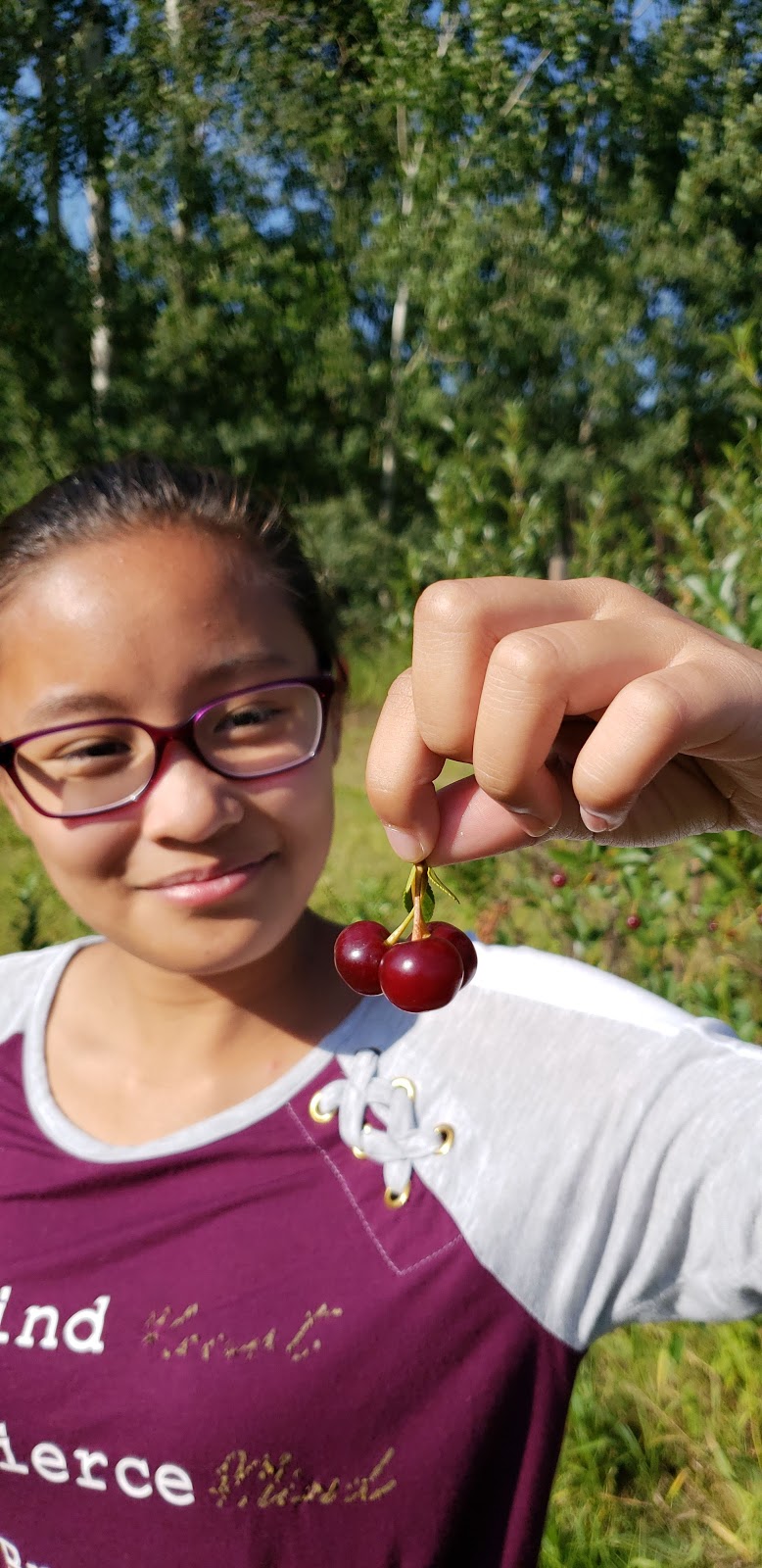 Prairie Berry Farm | 51220 Range Rd 213, Sherwood Park, AB T8G 1G1, Canada | Phone: (780) 662-7669