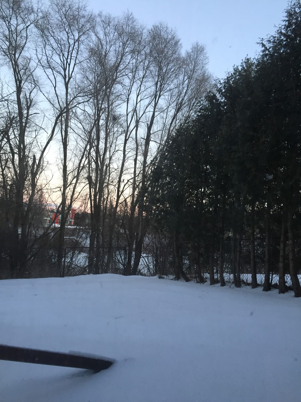 Beechwood Rentals | 405 Winchester Dr, Waterloo, ON N2T 1H6, Canada | Phone: (519) 886-1414