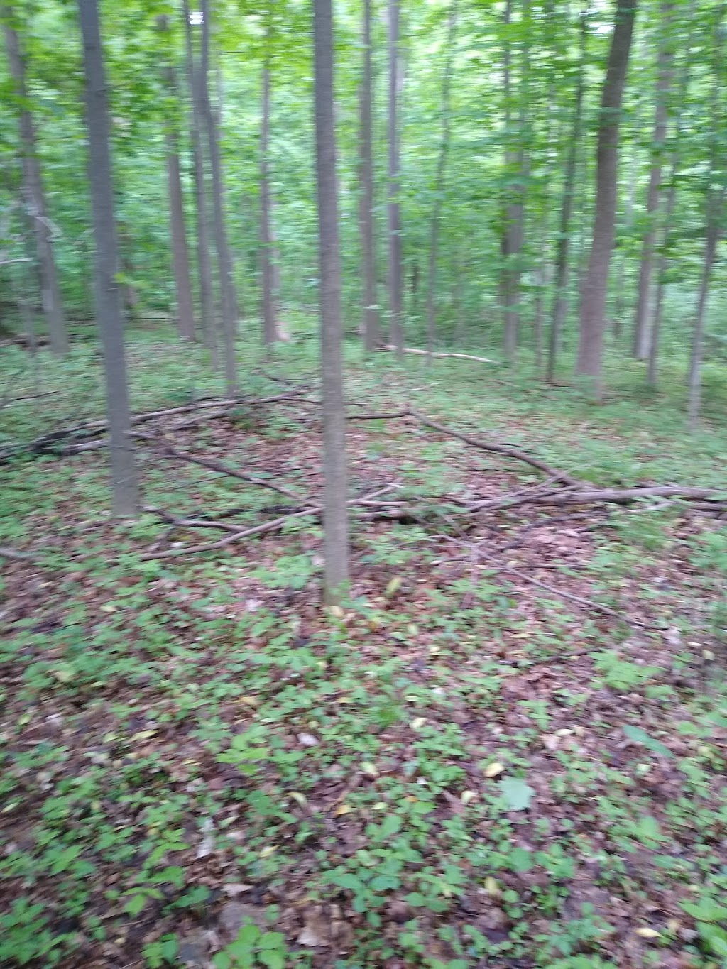 DNA Landscaping Inc | 7532 30 Sideroad Adjala, Alliston, ON L9R 1V1, Canada | Phone: (905) 724-0346