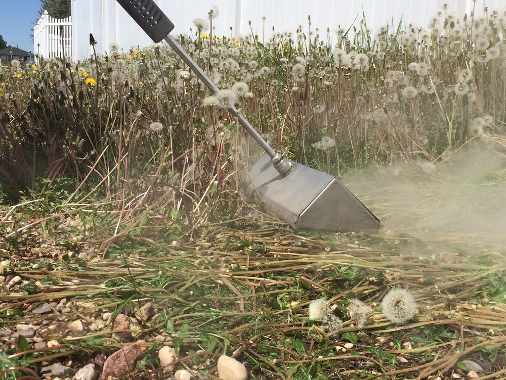 Northern Flora Garden Centre & Chemical Free Weed Control | 5112 49a St, Barrhead, AB T7N 1A4, Canada | Phone: (780) 674-8844