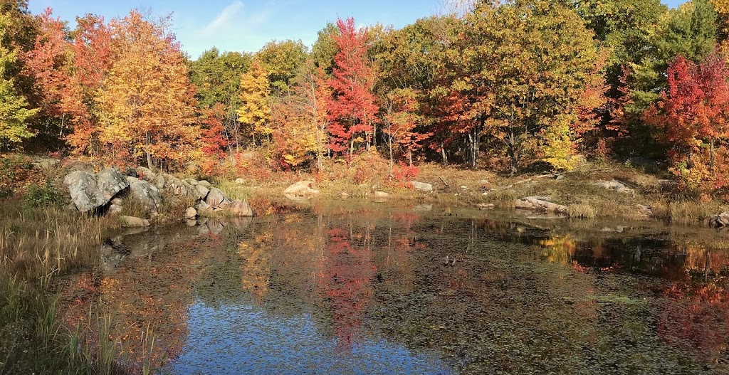 Township of Central Frontenac | 1084 Elizabeth St, Sharbot Lake, ON K0H 2P0, Canada | Phone: (613) 279-2935