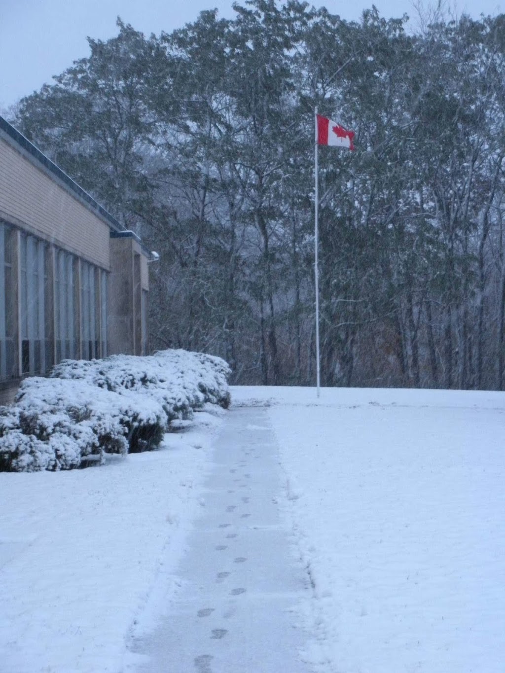 maxill inc. | 80 Elm St, St Thomas, ON N5R 6C8, Canada | Phone: (519) 631-7370